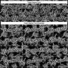 Custom Black White 3D Pattern Design Tiger Performance T-Shirt - Image 3