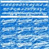 Custom Royal White-Light Blue 3D Pattern Two-Button Unisex Softball Jersey - Image 4
