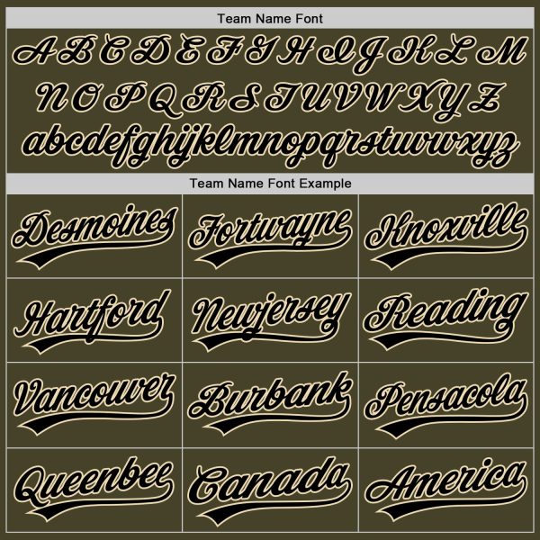 Custom Olive Black-City Cream Salute To Service Two-Button Unisex Softball Jersey - Image 4